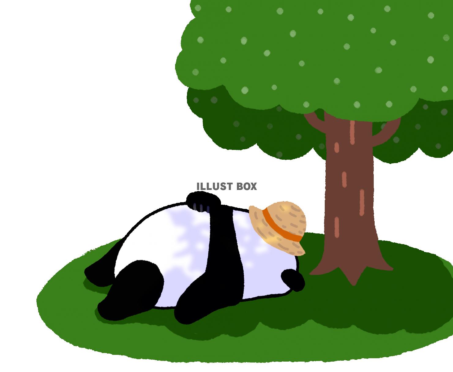 パンダシリーズ　横　木陰でひとやすみ