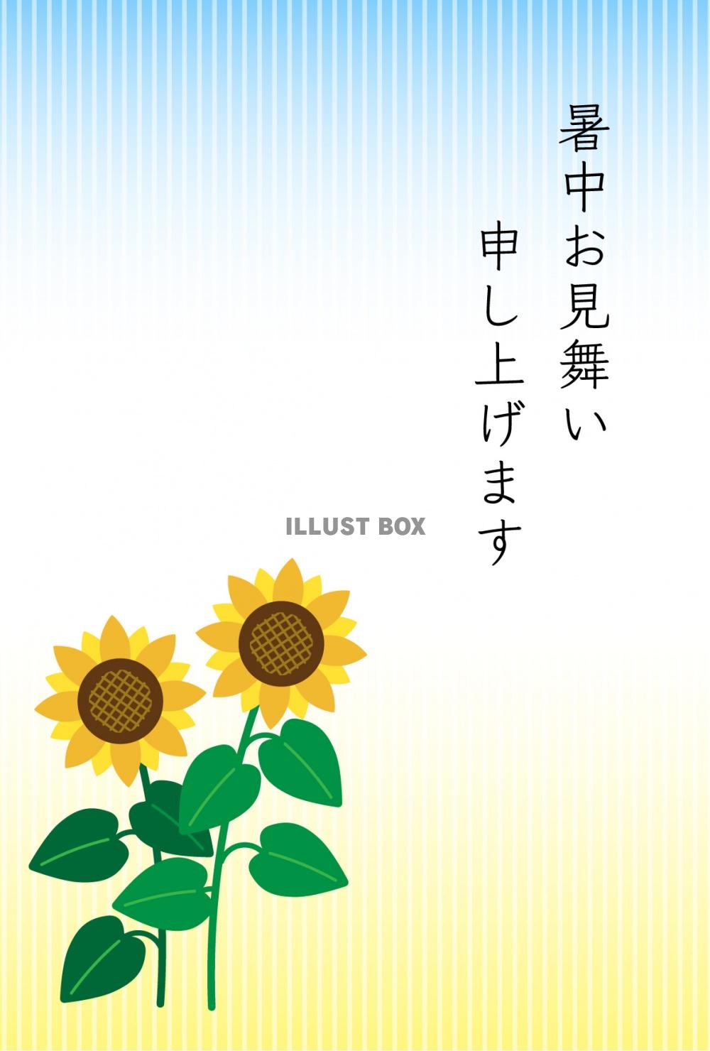 暑中見舞いハガキ12　文字あり　背の高い向日葵