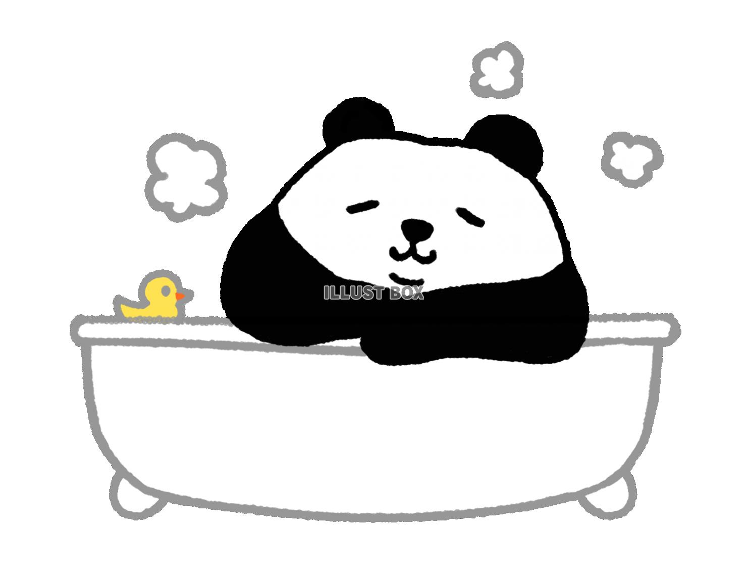パンダシリーズ　お風呂でゆったり