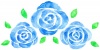 水彩の青いバラの花１
