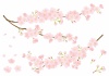 春のイラスト★桜のイラストパーツ