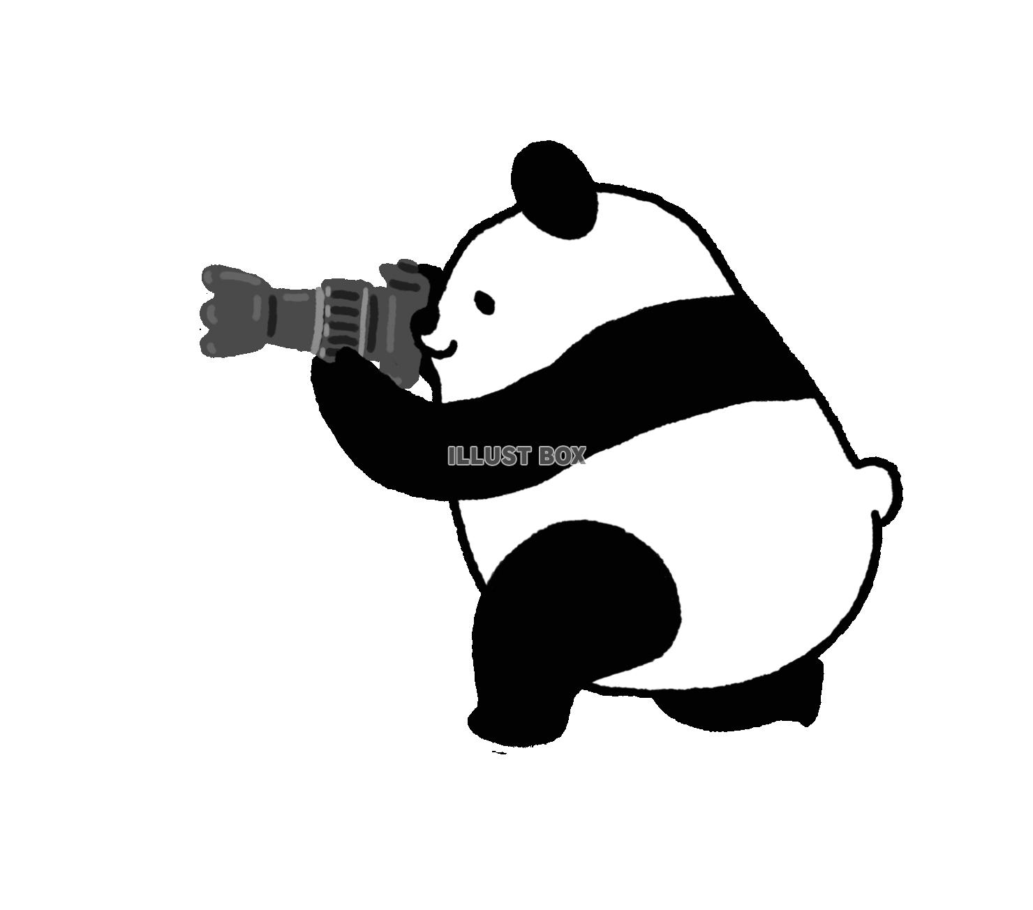 パンダシリーズ　横　カメラマン1 