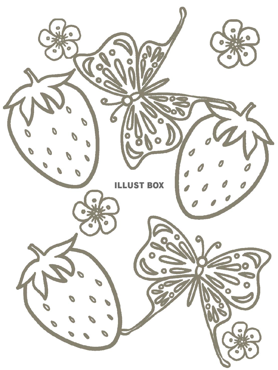 イチゴとチョウのぬり絵イラスト