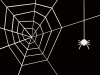 シンプルな蜘蛛と蜘蛛の巣の背景