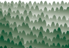 霧に霞む深い緑色の森林　樹林　壁紙　背景