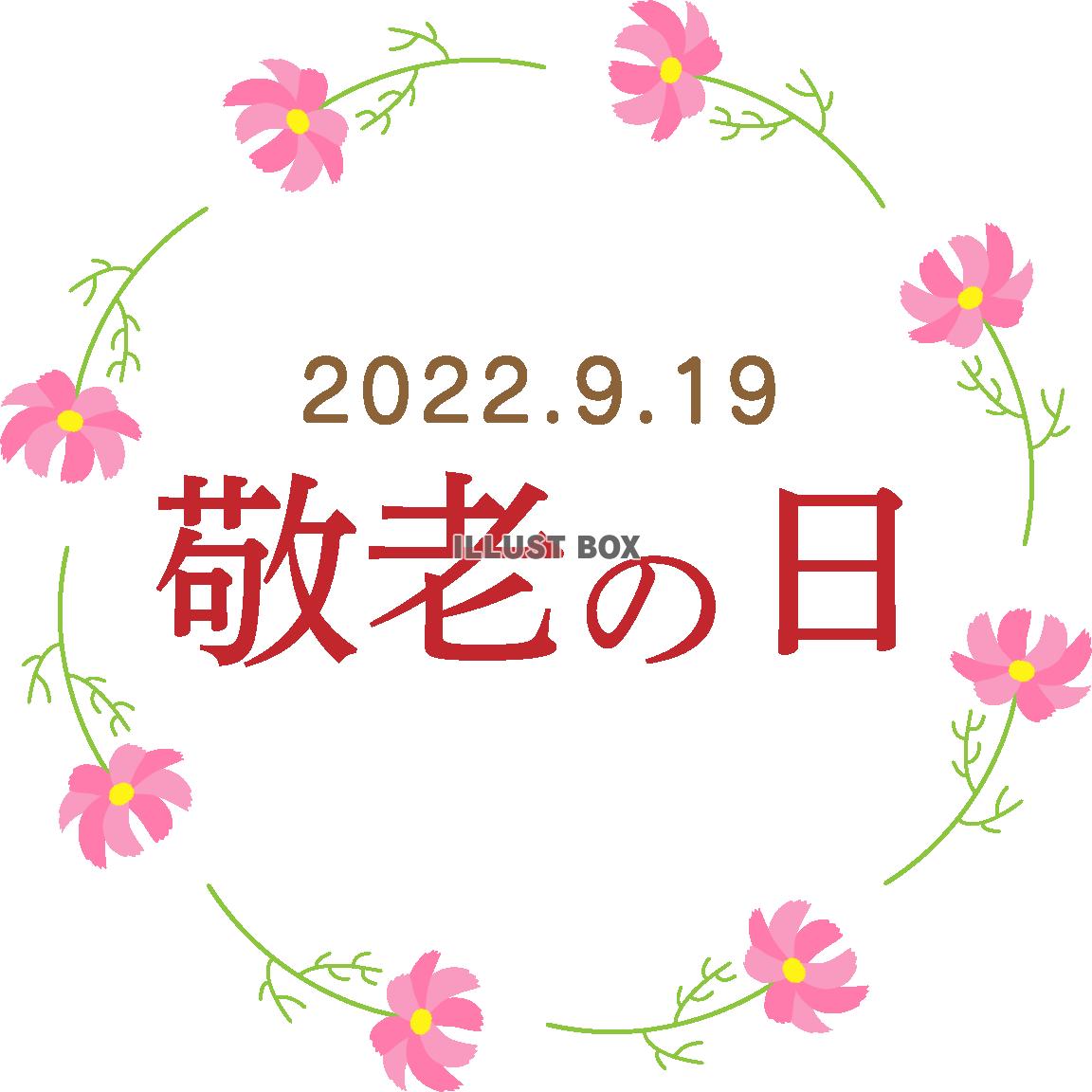 敬老の日　ロゴマーク11　秋桜　2022年用