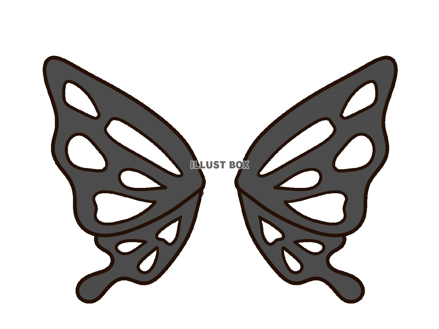 きれいな蝶の翅　黒