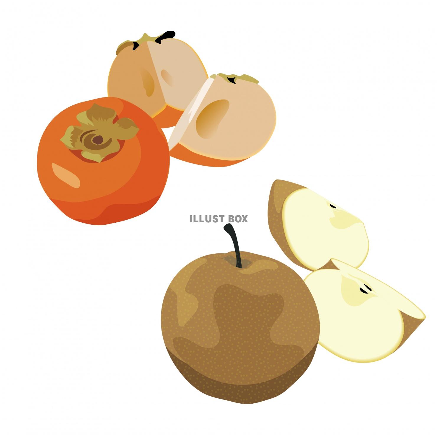 秋のフルーツ柿と梨セット　イラスト・素材
