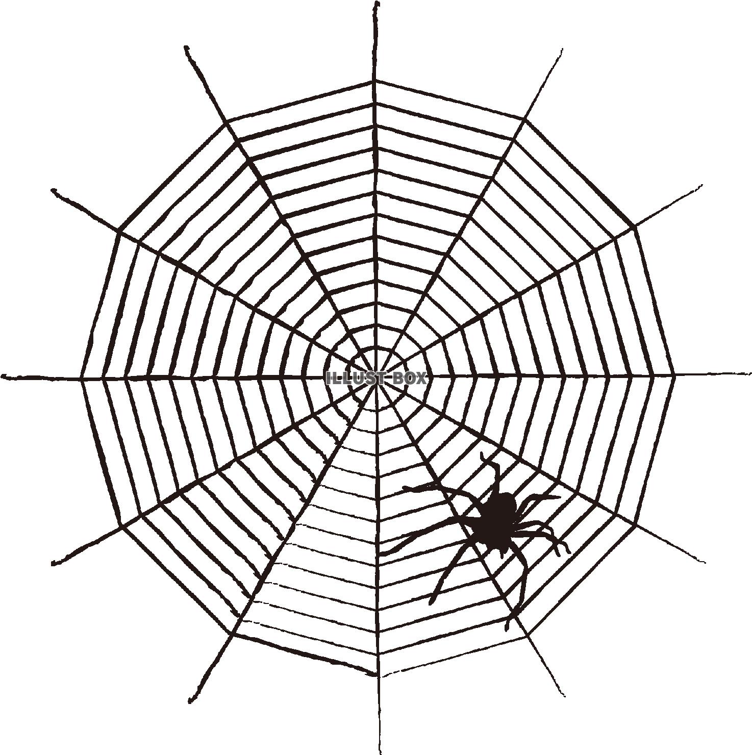 蜘蛛の巣（透過PNG）