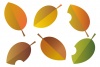 秋の葉っぱイラスト/落ち葉グラデ