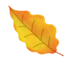 秋の葉っぱ素材1