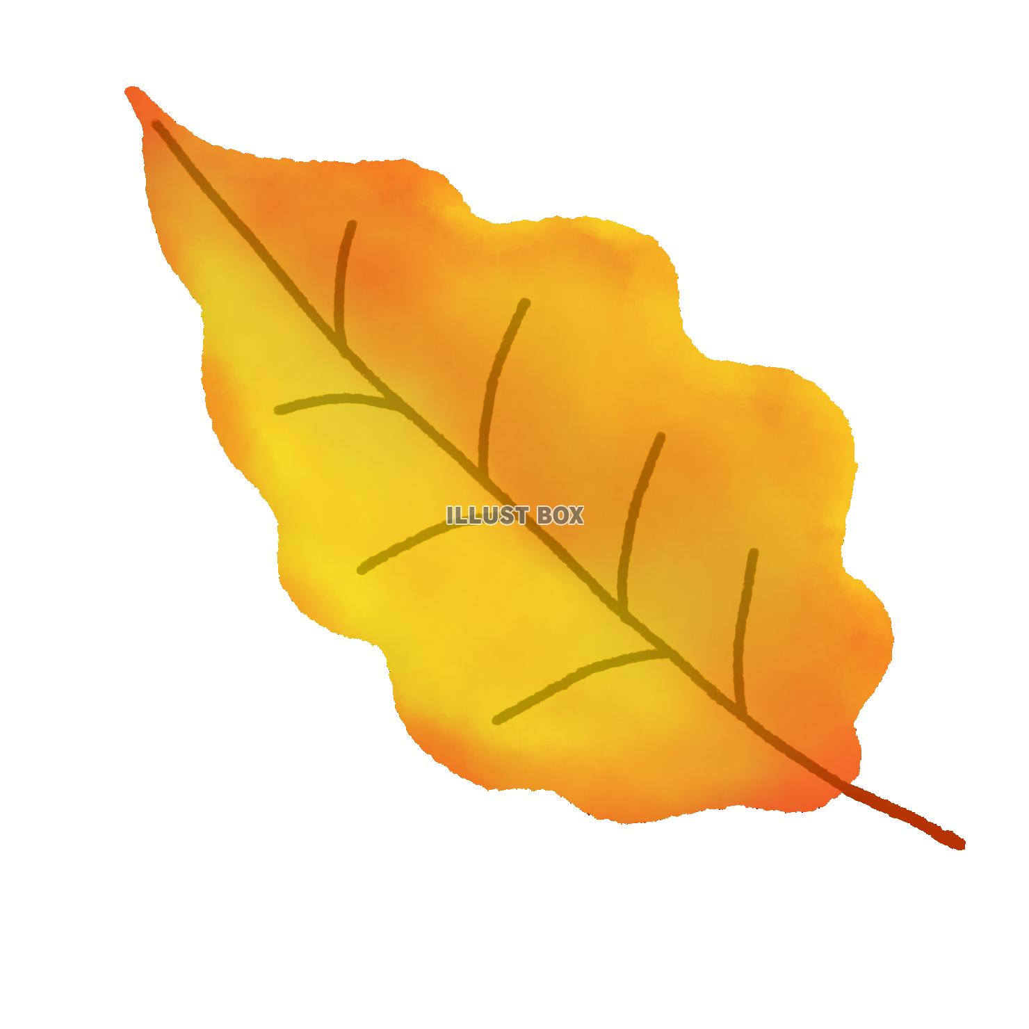秋の葉っぱ素材1