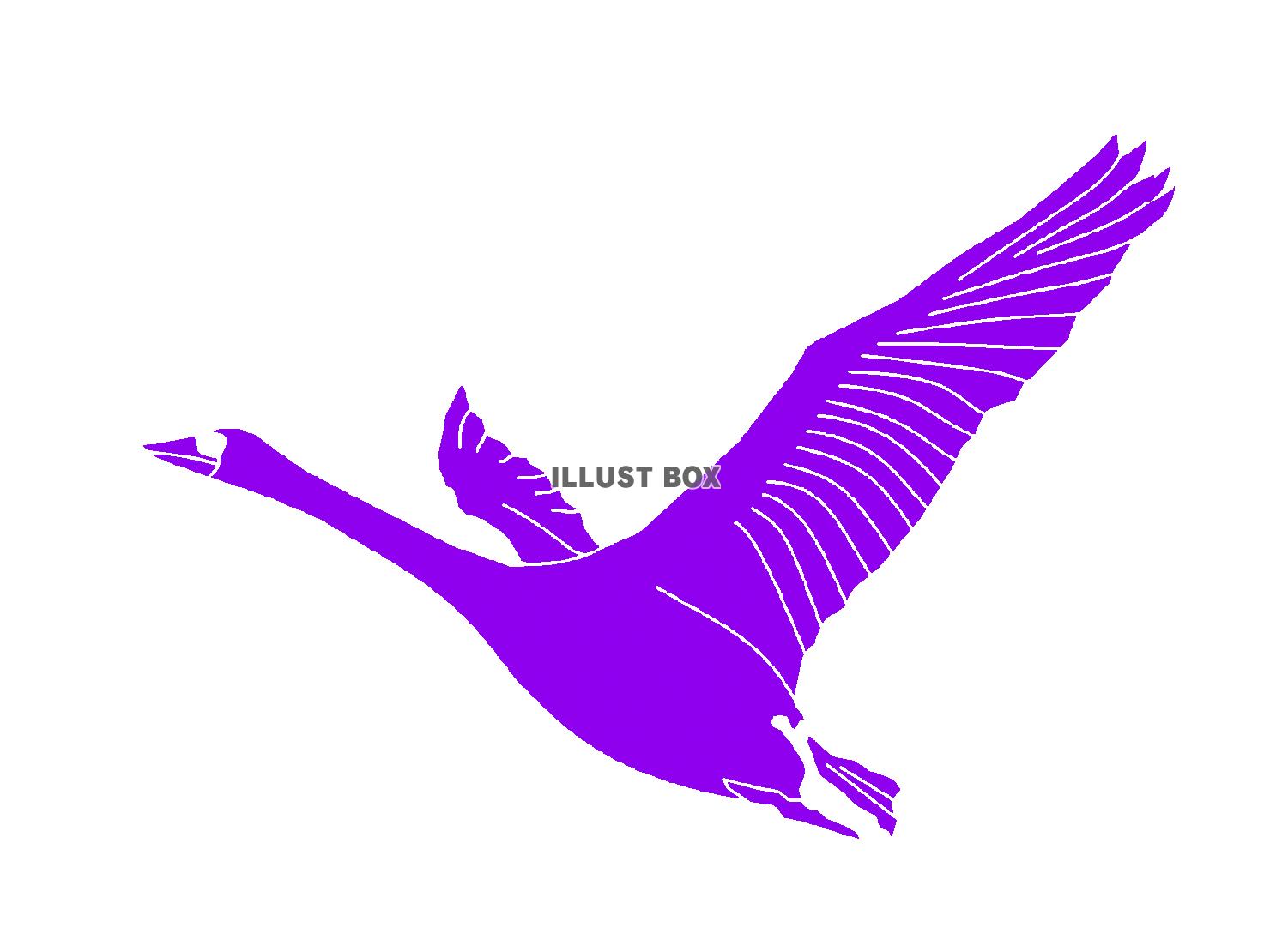 紫色の羽ばたく鶴のシルエットアイコン