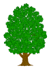 巨木壁紙画像シンプル樹木背景素材イラスト透過png