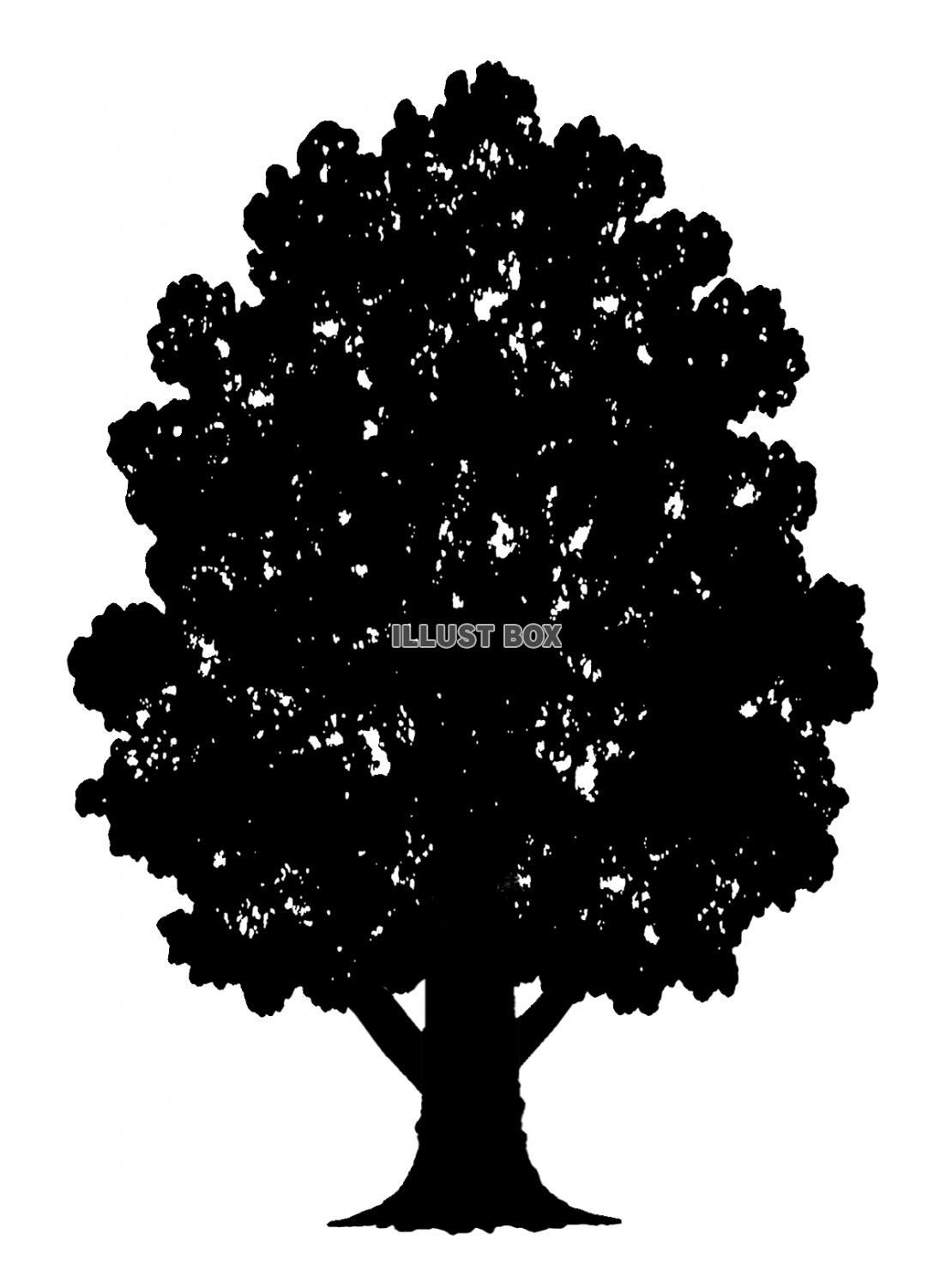 巨木壁紙画像シンプル樹木背景素材イラスト