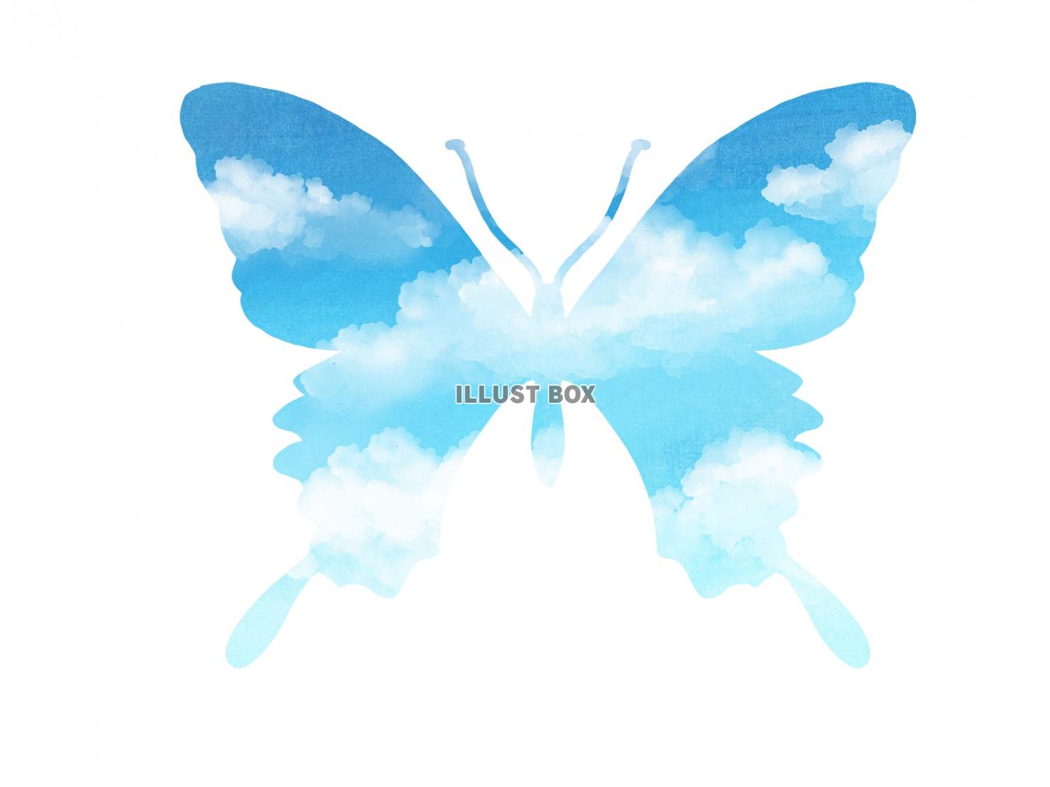 青空の蝶