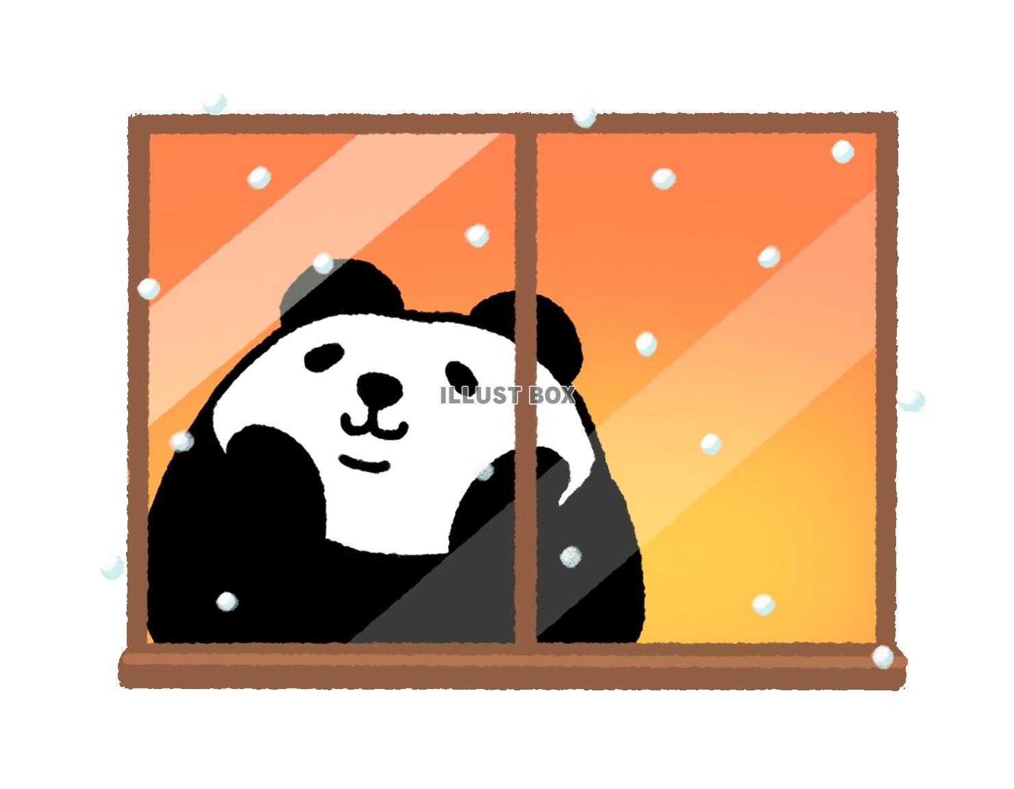 パンダシリーズ　雪が降る景色を窓から眺めるパンダ
