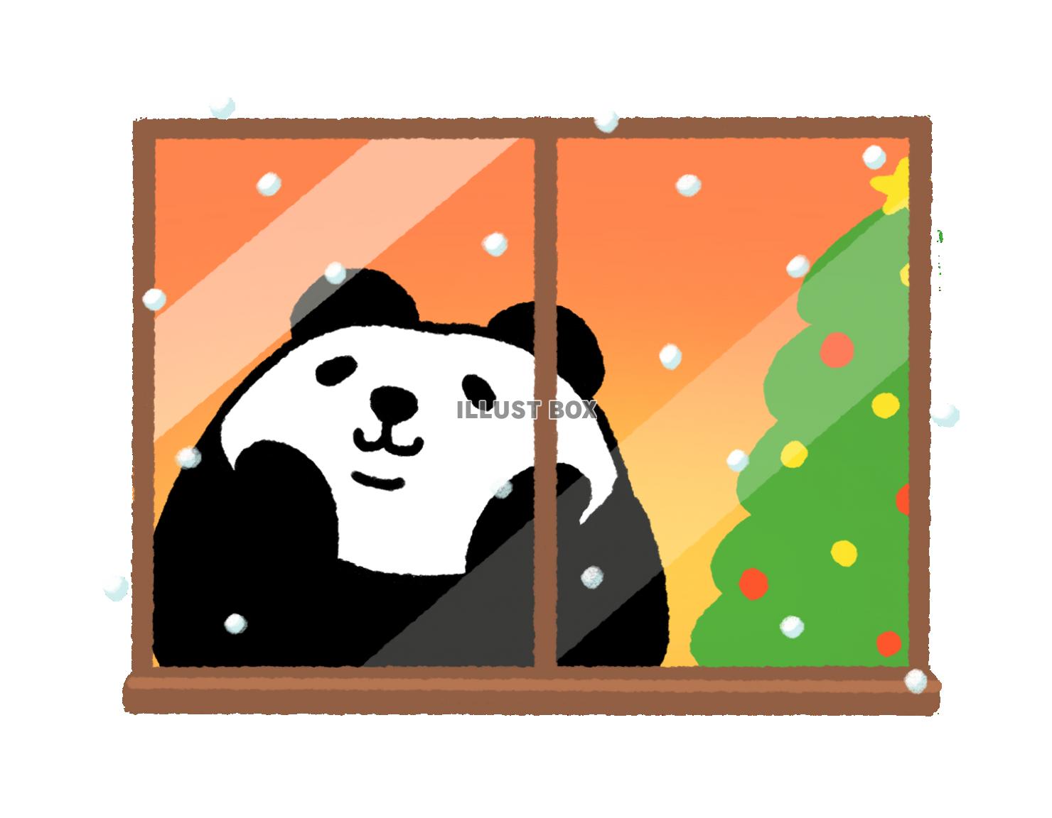 パンダシリーズ　クリスマスの日に雪が降る景色を窓から眺めるパ...
