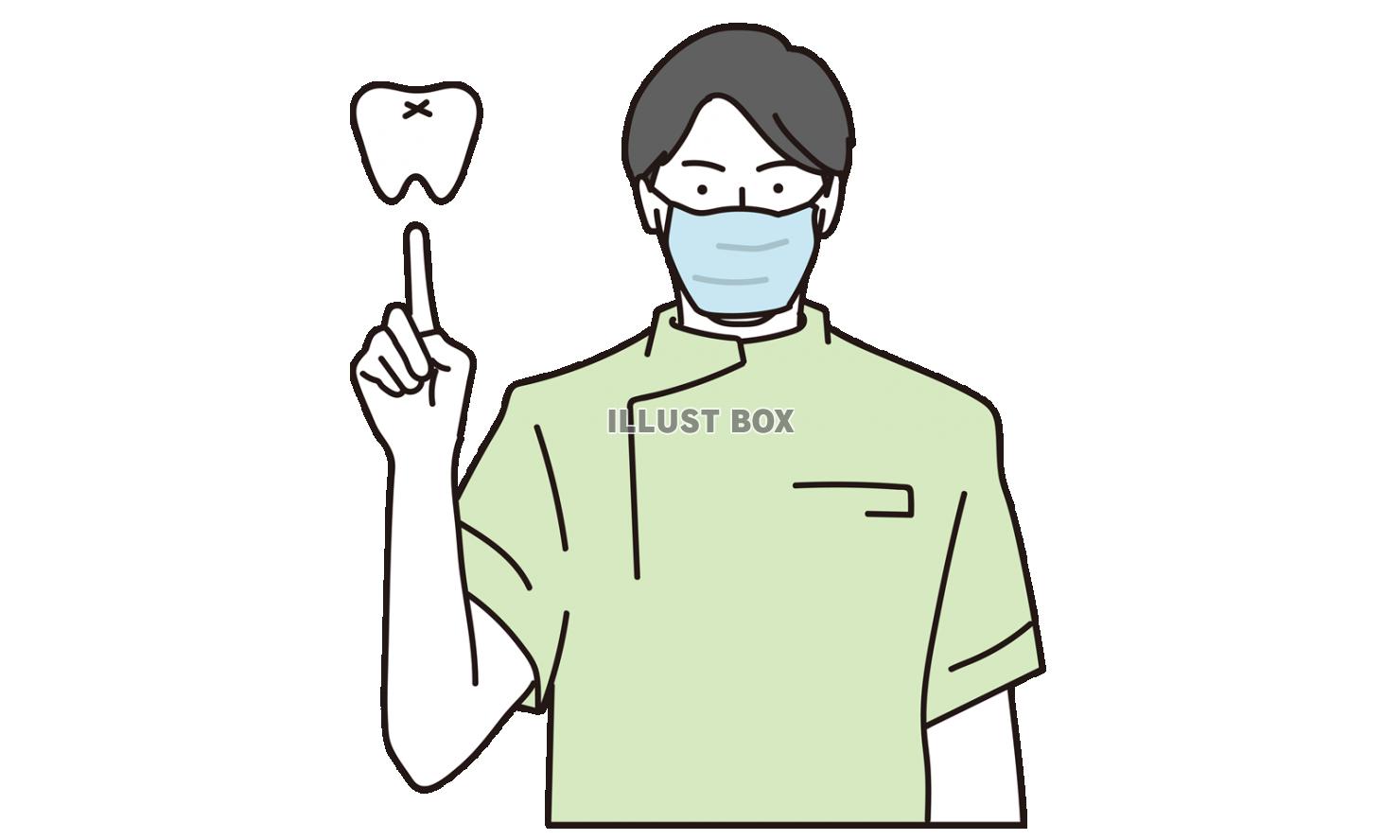 歯の説明をするアジア人歯科医