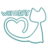 ホワイトデー白猫