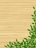 木目板に葉っぱ壁紙フレームシンプル飾り枠背景イラスト