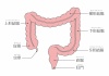 人間の身体★大腸の構造★消化器官