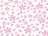 JPEG:桜の花びら舞う壁紙・背景素材