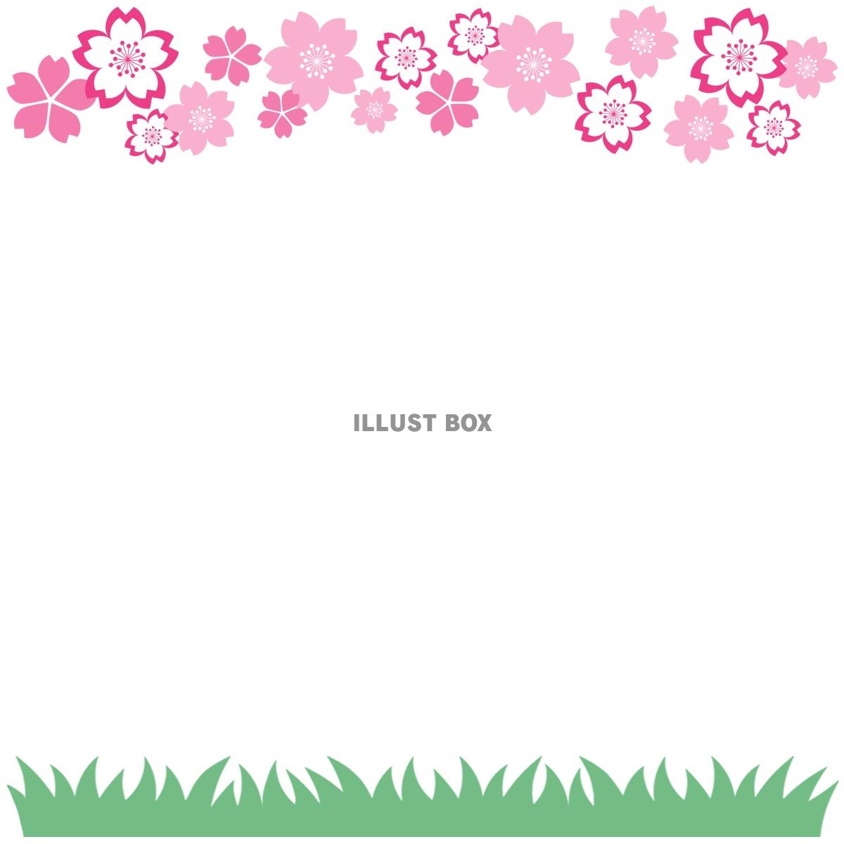 桜の花模様フレーム画像シンプル飾り枠素材イラスト