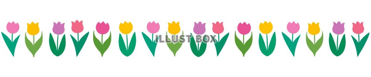 チューリップ花模様ライン素材シンプル飾り罫線イラスト　
