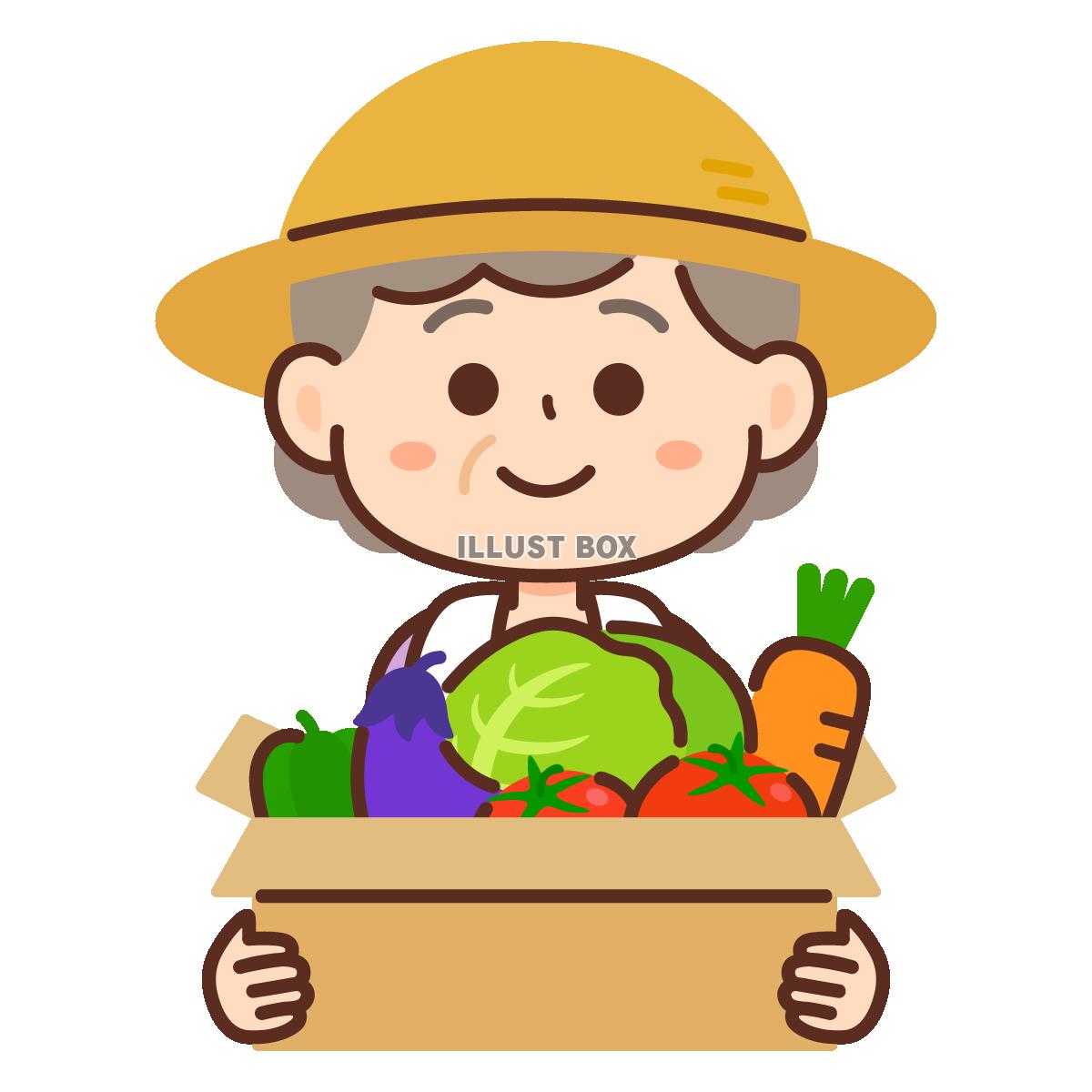 野菜が入った箱を持つ農家のおばあちゃん