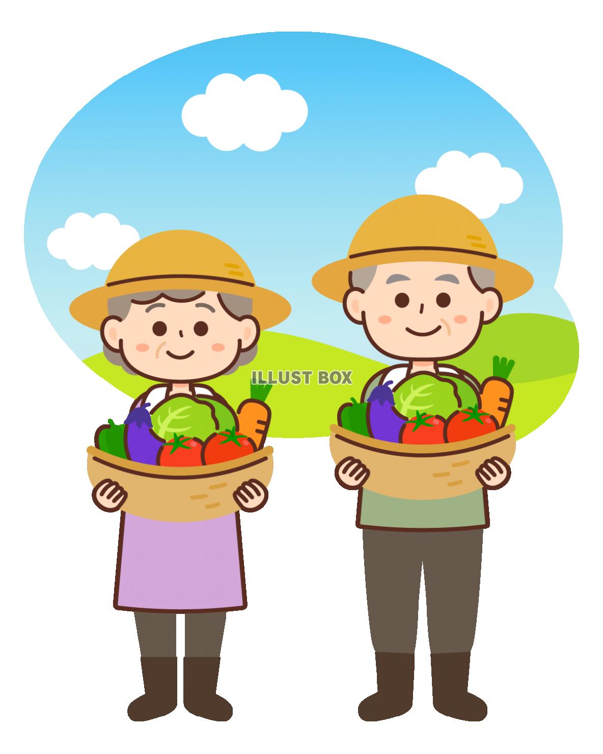 野菜を持つ農家の高齢夫婦＿風景