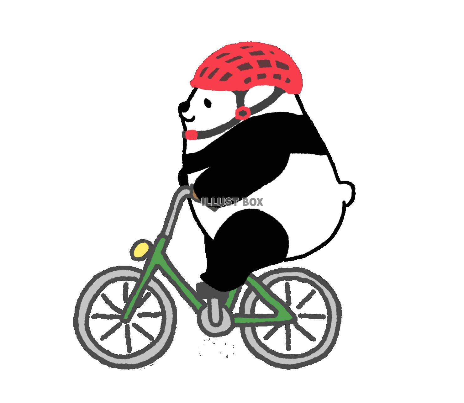 パンダシリーズ　ヘルメット被って自転車に乗るパンダ