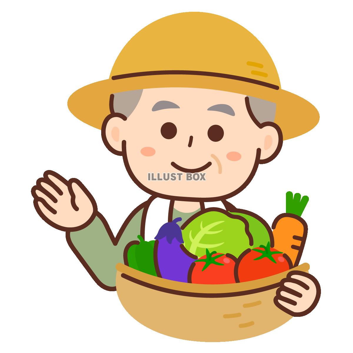 案内をする農家の高齢男性　野菜