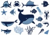 海の生き物のイラストセット