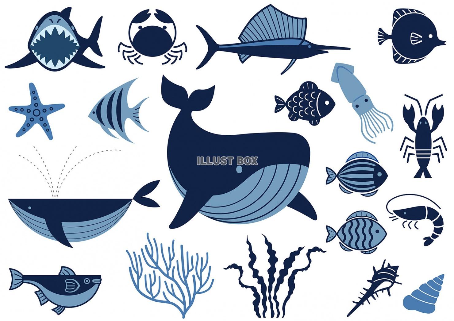 海の生き物のイラストセット