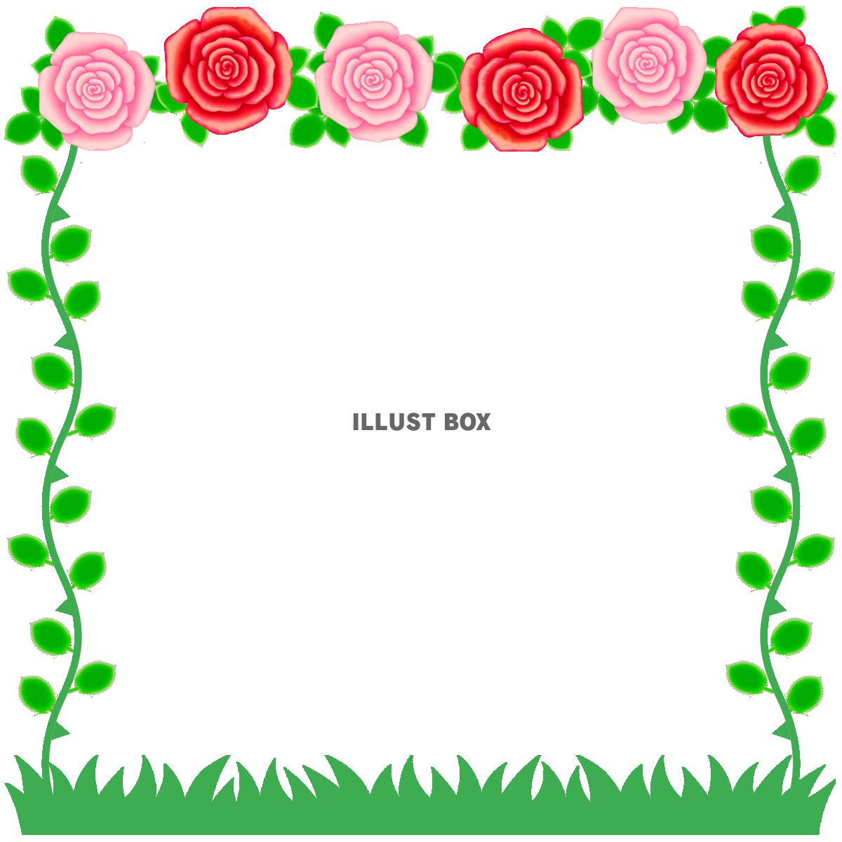 薔薇の花模様フレームシンプル飾り枠素材イラスト透過png