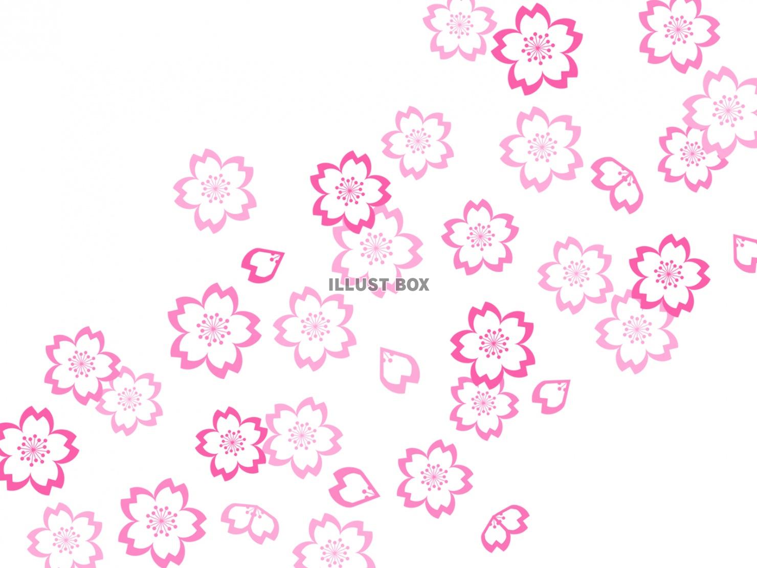 桜の花模様壁紙画像シンプル背景素材イラスト