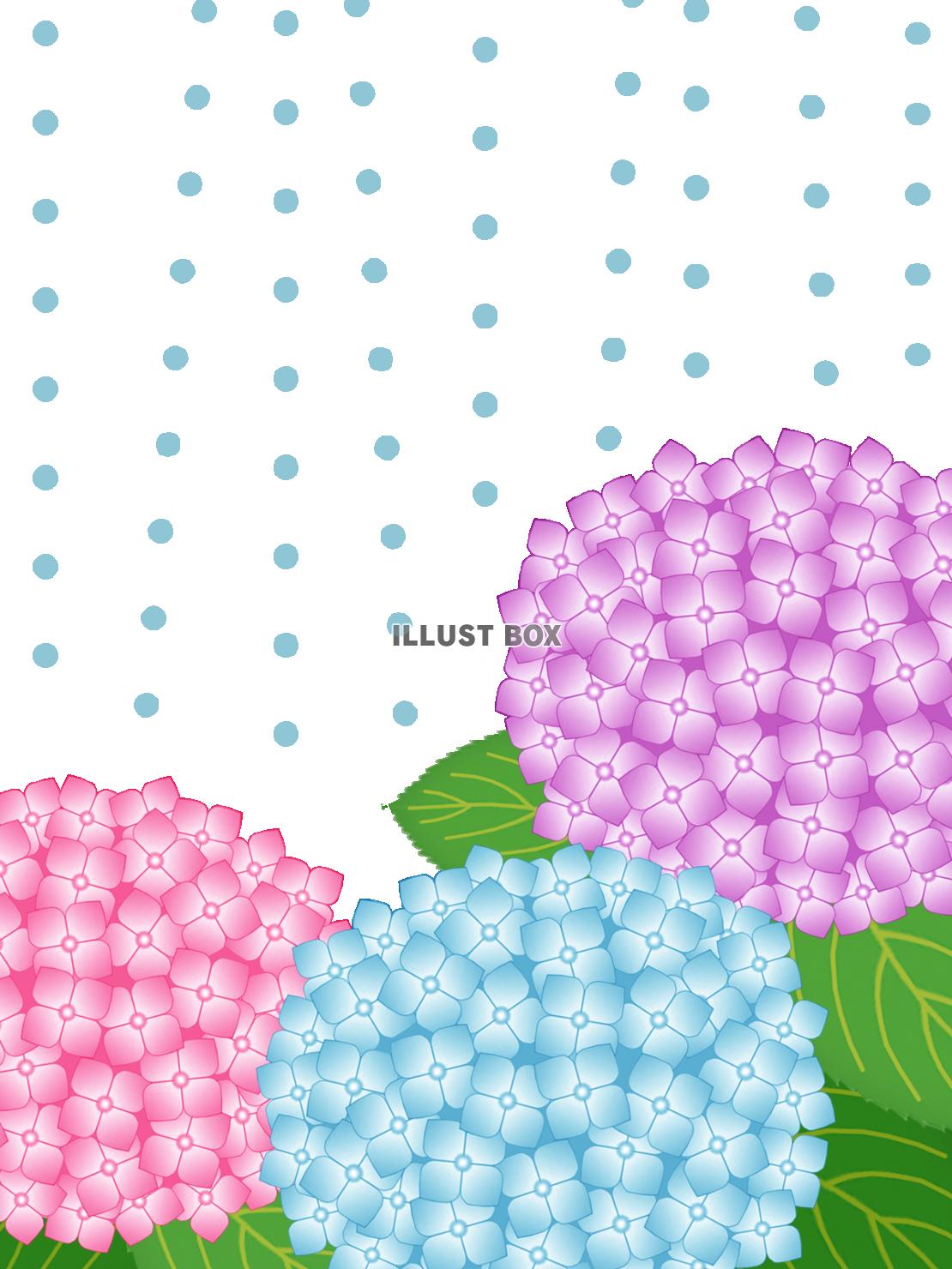 雨降りの紫陽花壁紙画像シンプル背景素材イラスト透過png　