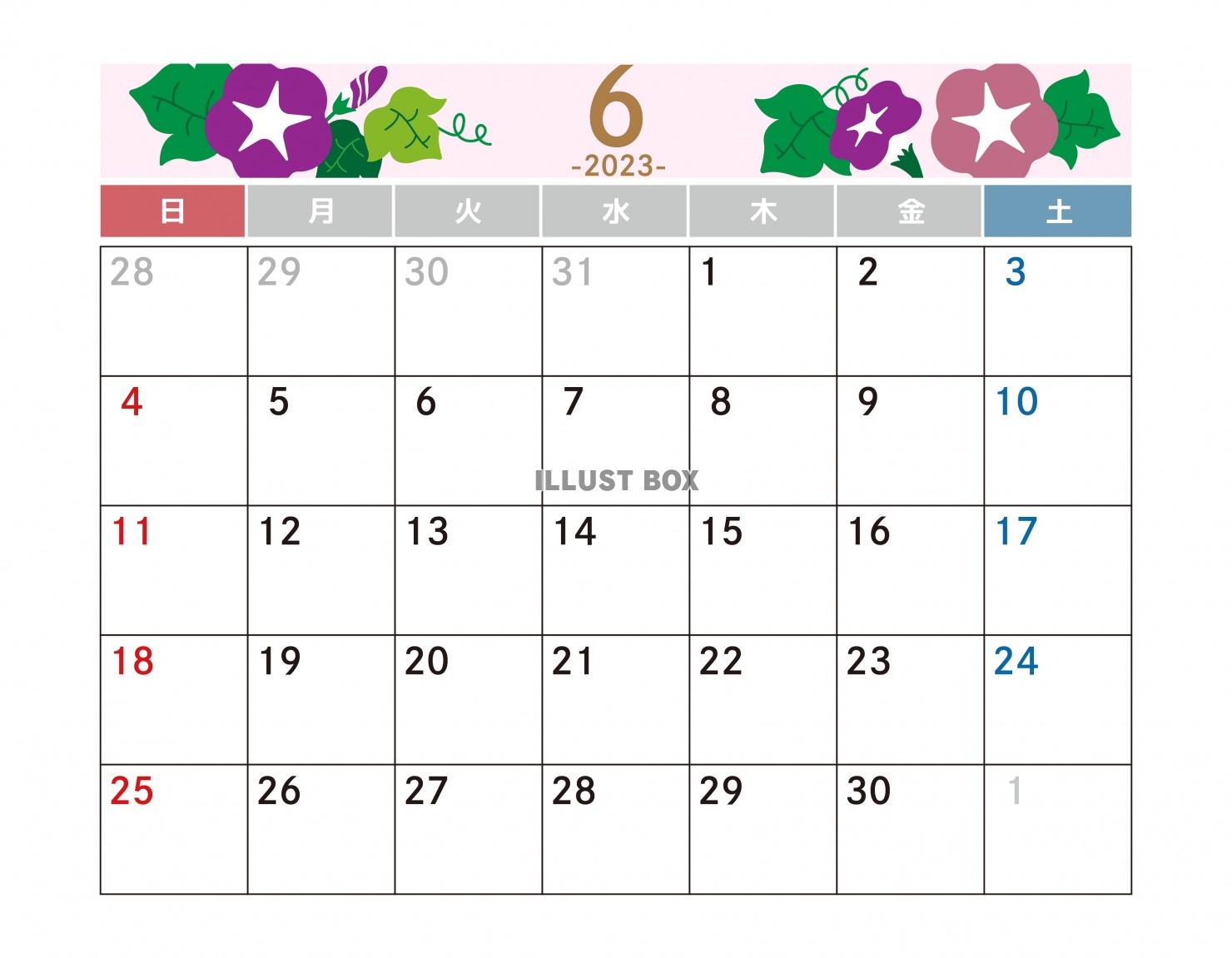 6月カレンダー　朝顔　2023年　令和5年　A4横