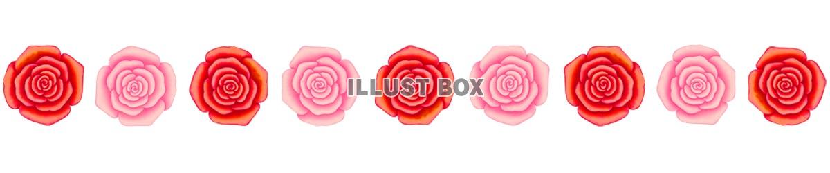 薔薇の花模様ライン素材シンプル飾り罫線イラスト