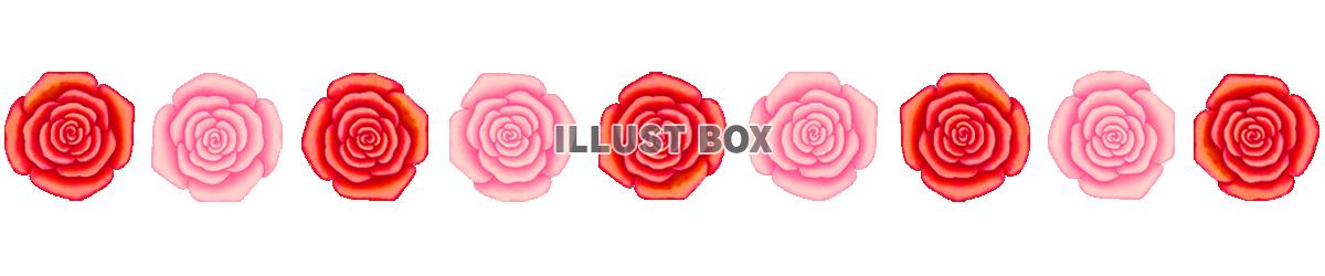 薔薇の花模様ライン素材シンプル飾り罫線イラストpng透過