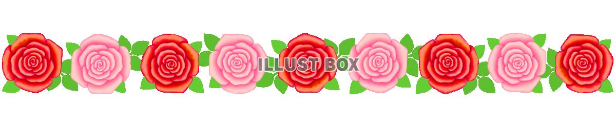 薔薇の花模様ライン素材シンプル飾り罫線イラストpng透過