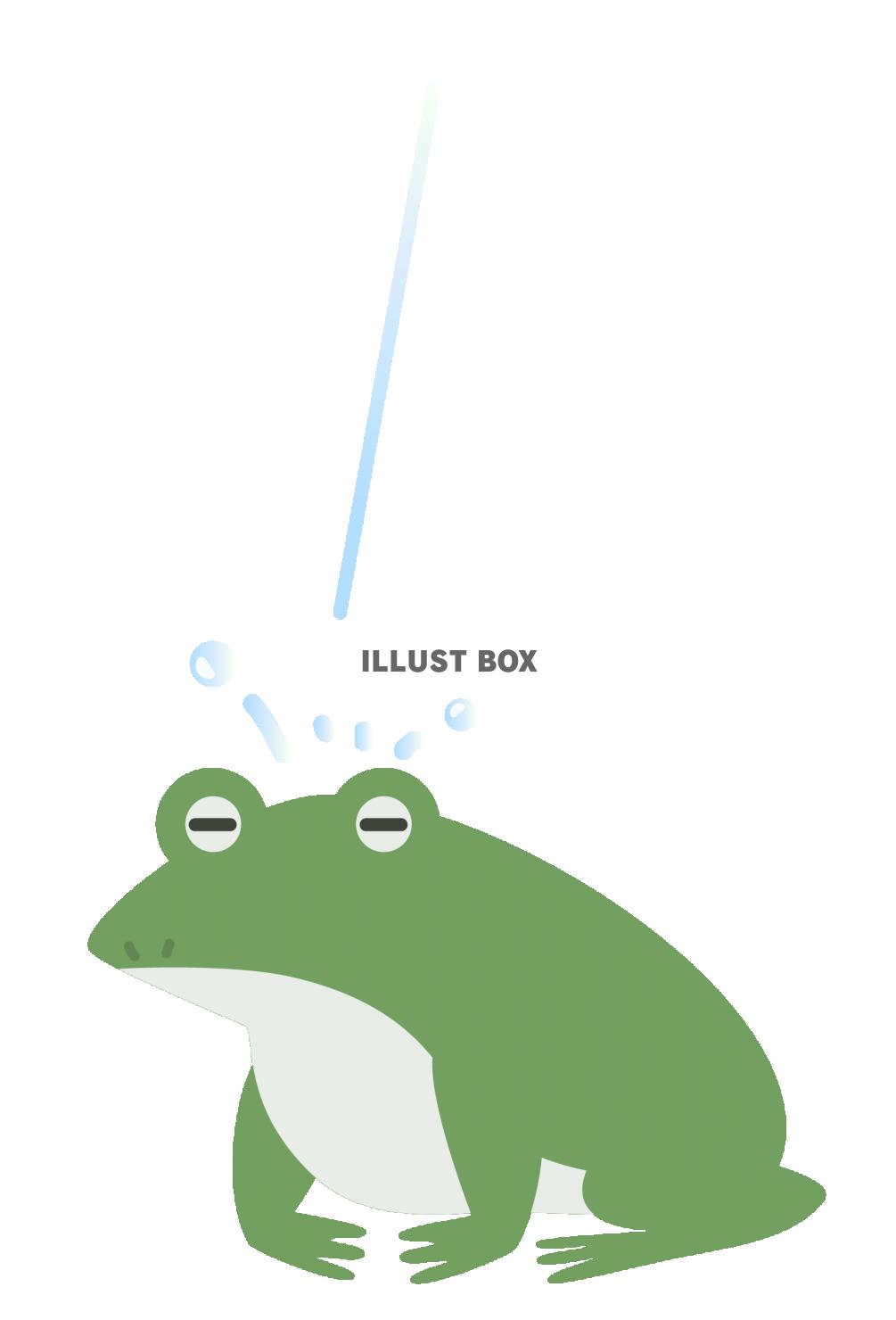 雨に打たれる蛙のイラスト