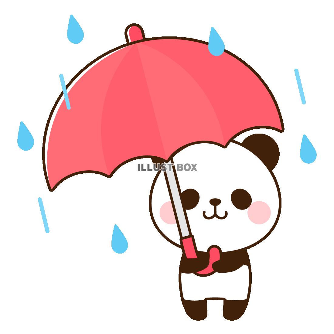 傘をさすパンダ　雨