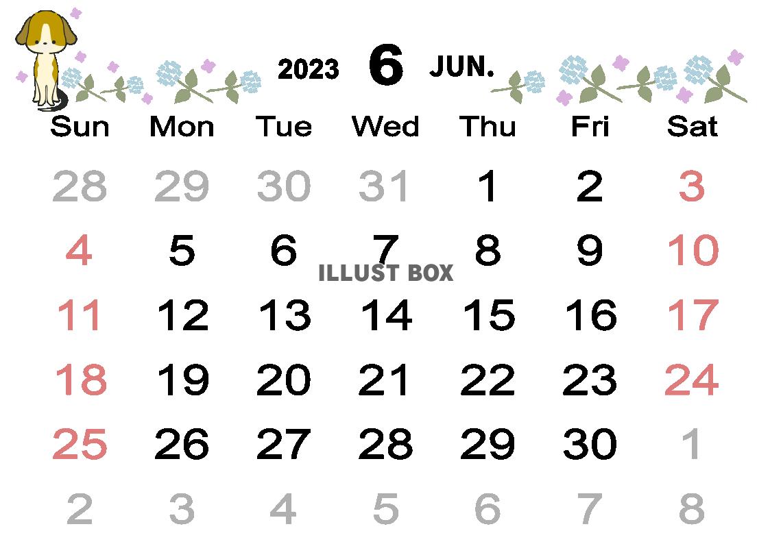 ２０２３年６月のカレンダー（よこ）ビーグル犬とアジサイ