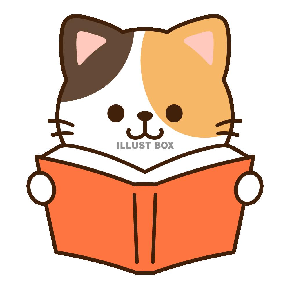本を読む三毛猫