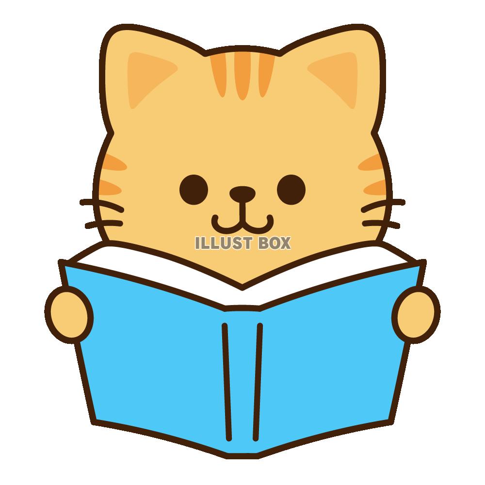 本を読む茶トラ猫