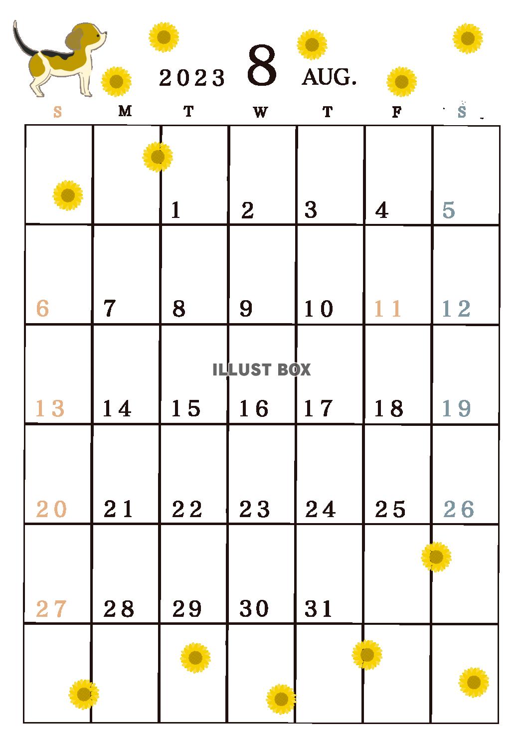２０２３年８月のカレンダー　ビーグル犬とヒマワリ