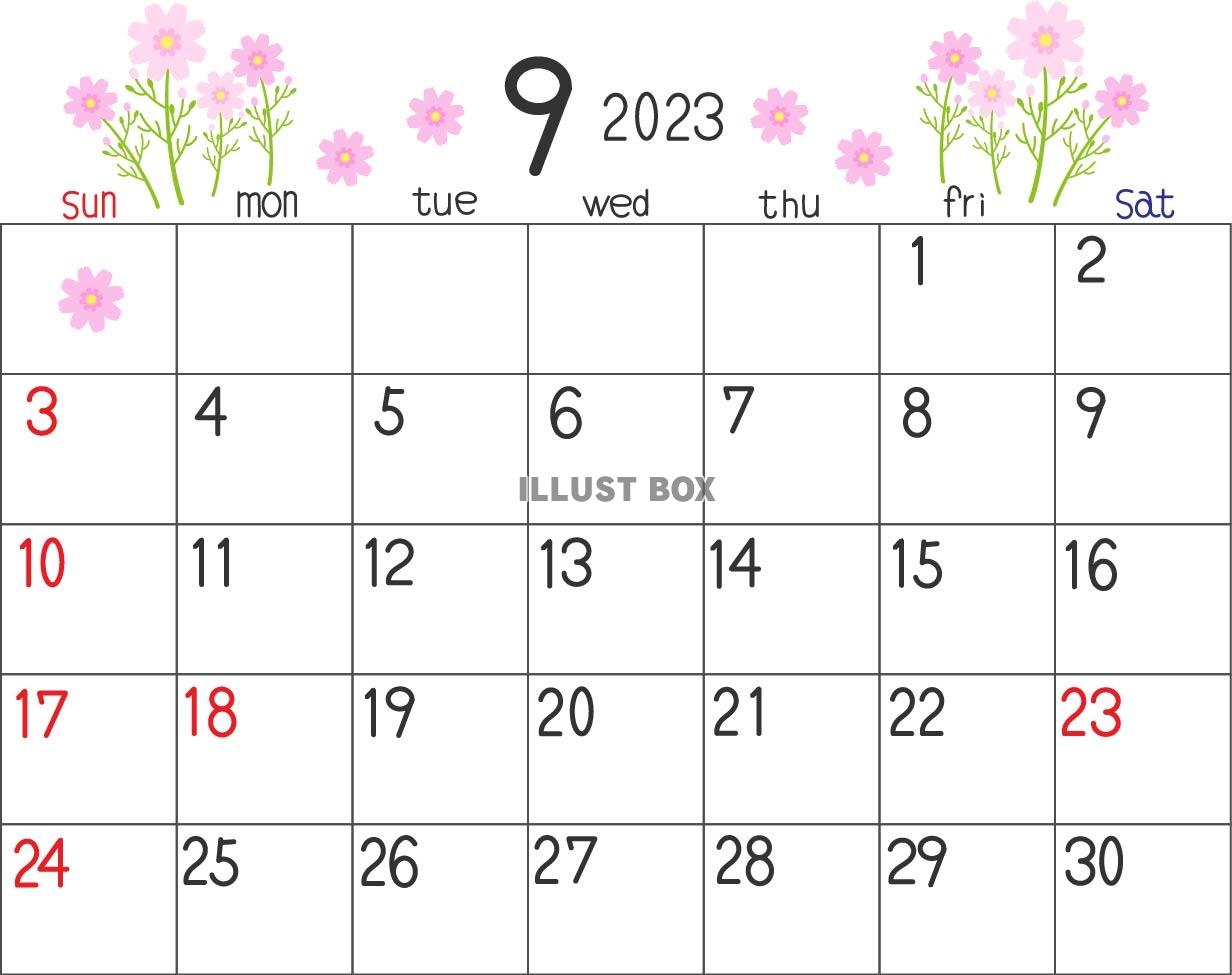 2023年9月のカレンダー素材、コスモスの花のイラスト付き