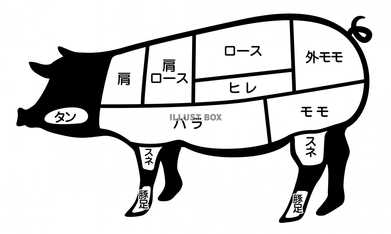 豚肉の部位